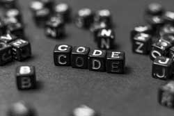Development Code